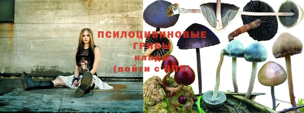 спиды Армянск
