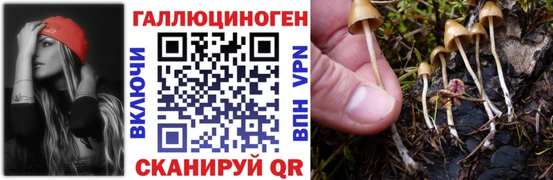 OMG ссылка  как найти наркотики  Сухой Лог  Псилоцибиновые грибы мухоморы 